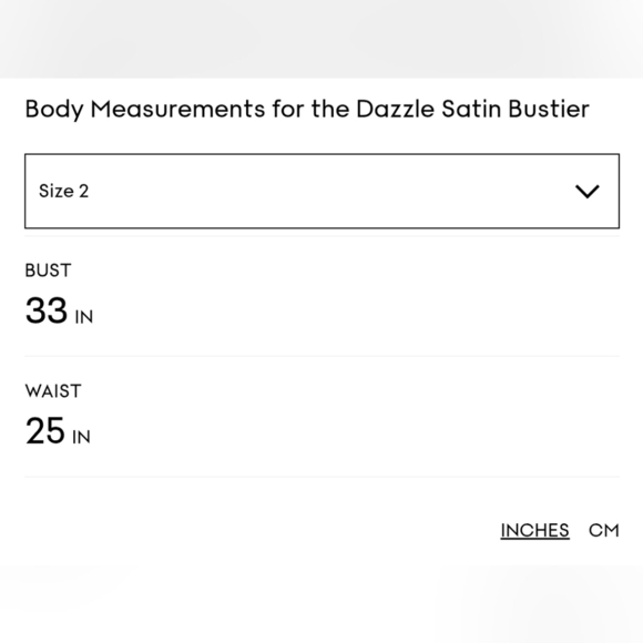 Artizia Ten Charcoal Grey Satin Dazzle Corset Top Size 2 NWT - Picture 6 of 6